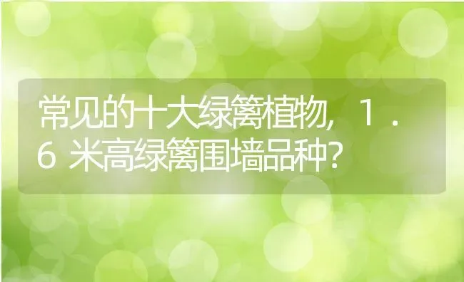 常见的十大绿篱植物,1.6米高绿篱围墙品种？ | 养殖常见问题