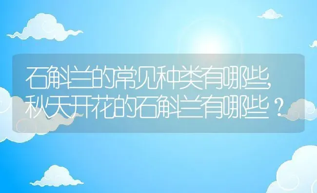 石斛兰的常见种类有哪些,秋天开花的石斛兰有哪些？ | 养殖常见问题