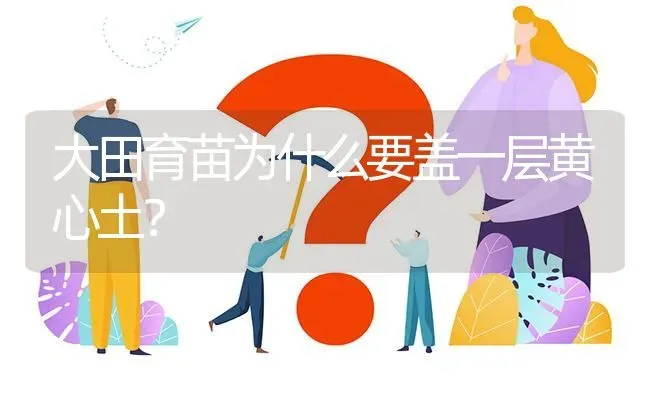 大田育苗为什么要盖一层黄心土? | 养殖问题解答