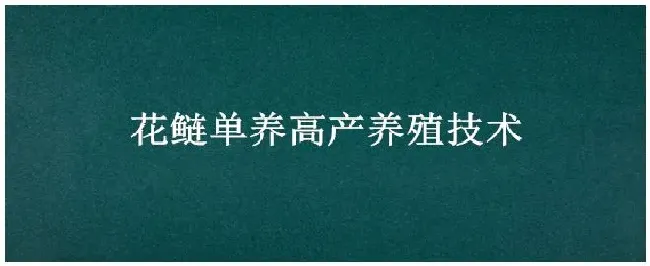 花鲢单养高产养殖技术 | 生活常识