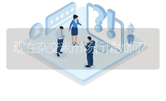 现在杂交米市场行情如何? | 养殖问题解答