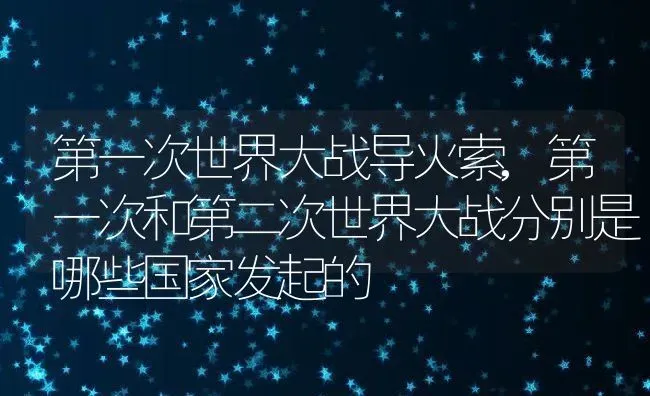 第一次世界大战导火索,第一次和第二次世界大战分别是哪些国家发起的 | 养殖常见问题
