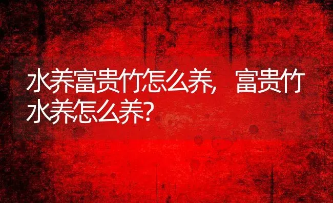 水养富贵竹怎么养,富贵竹水养怎么养？ | 养殖常见问题