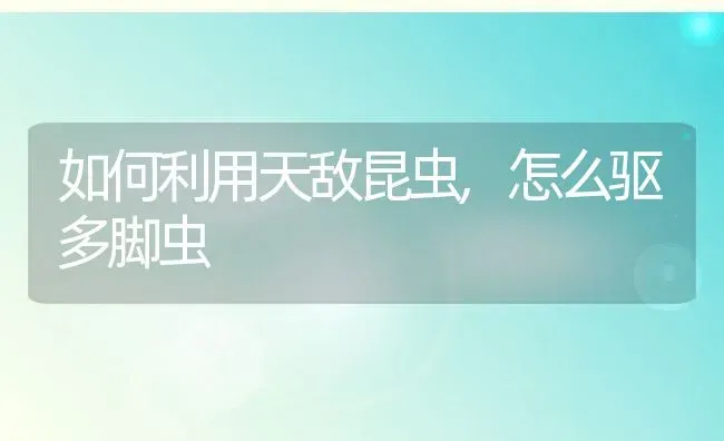 如何利用天敌昆虫,怎么驱多脚虫 | 养殖常见问题
