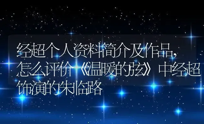 经超个人资料简介及作品,怎么评价《温暖的弦》中经超饰演的朱临路 | 养殖常见问题