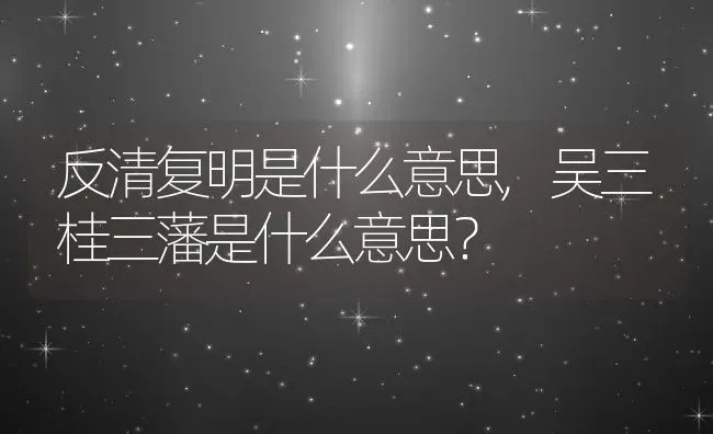 反清复明是什么意思,吴三桂三藩是什么意思？ | 养殖常见问题