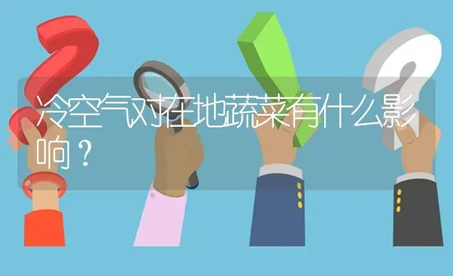 冷空气对在地蔬菜有什么影响? | 养殖问题解答