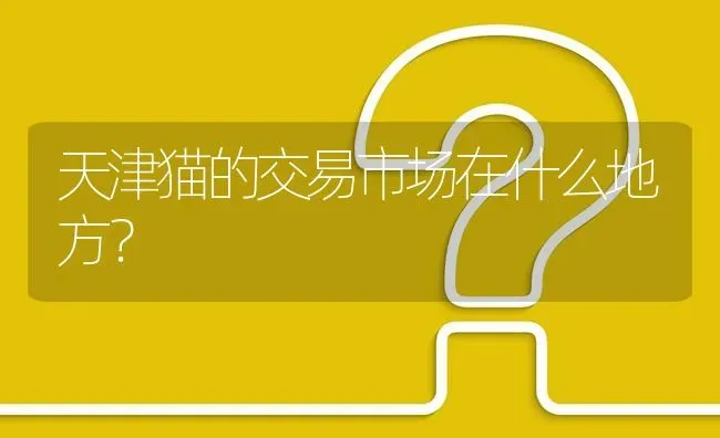 天津猫的交易市场在什么地方? | 养殖问题解答