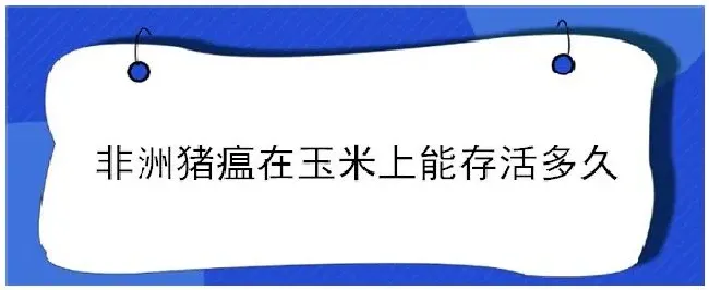 非洲猪瘟在玉米上能存活多久 | 农业答疑