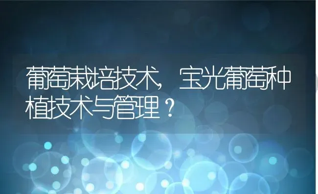 葡萄栽培技术,宝光葡萄种植技术与管理？ | 养殖常见问题