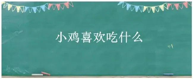 小鸡喜欢吃什么? | 生活常识