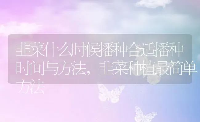 韭菜什么时候播种合适播种时间与方法,韭菜种植最简单方法 | 养殖常见问题