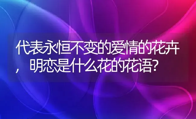 代表永恒不变的爱情的花卉,明恋是什么花的花语？ | 养殖常见问题