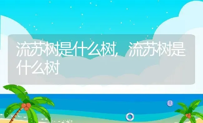 流苏树是什么树,流苏树是什么树 | 养殖常见问题