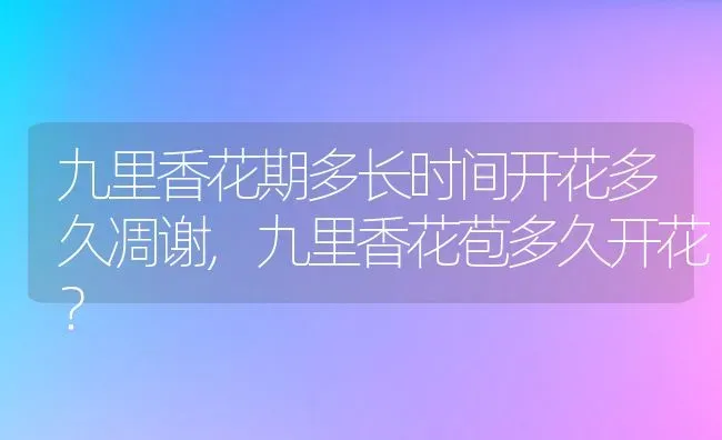 九里香花期多长时间开花多久凋谢,九里香花苞多久开花？ | 养殖常见问题