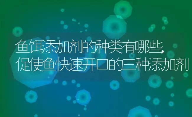 鱼饵添加剂的种类有哪些,促使鱼快速开口的三种添加剂 | 养殖常见问题