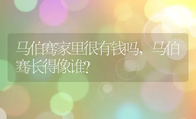 马伯骞家里很有钱吗,马伯骞长得像谁？ | 养殖常见问题