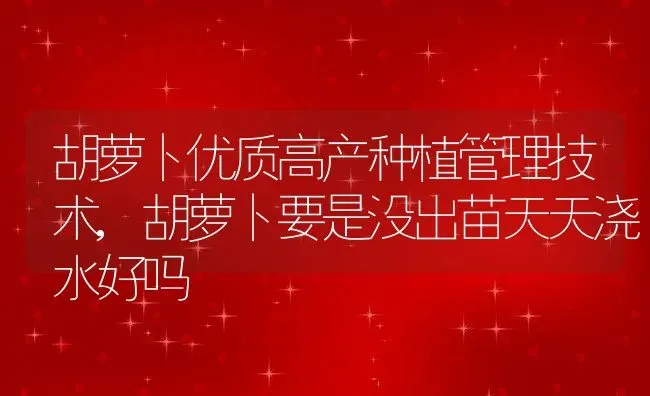 胡萝卜优质高产种植管理技术,胡萝卜要是没出苗天天浇水好吗 | 养殖常见问题