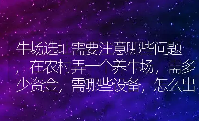 牛场选址需要注意哪些问题,在农村弄一个养牛场，需多少资金，需哪些设备，怎么出售 | 养殖常见问题