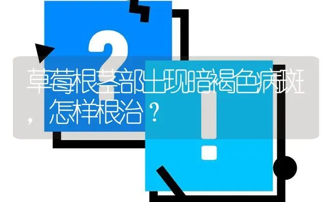 草莓根茎部出现暗褐色病斑,怎样根治? | 养殖问题解答