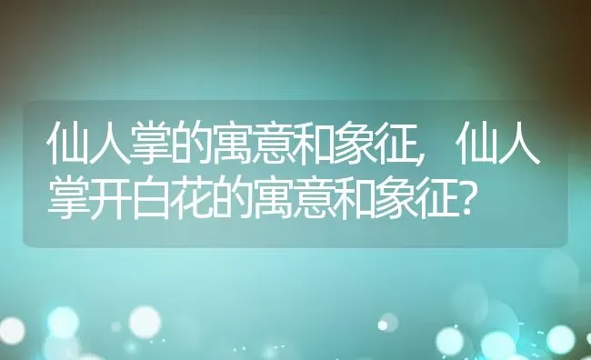 仙人掌的寓意和象征,仙人掌开白花的寓意和象征？ | 养殖常见问题