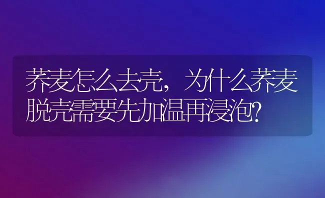 荞麦怎么去壳,为什么荞麦脱壳需要先加温再浸泡？ | 养殖常见问题