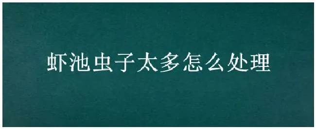 虾池虫子太多怎么处理 | 农业答疑