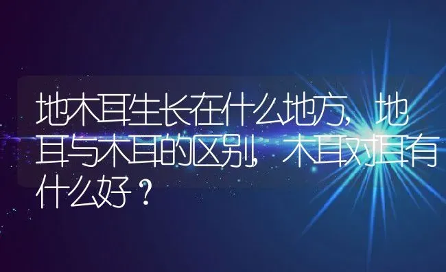 地木耳生长在什么地方,地耳与木耳的区别,木耳对耳有什么好？ | 养殖常见问题