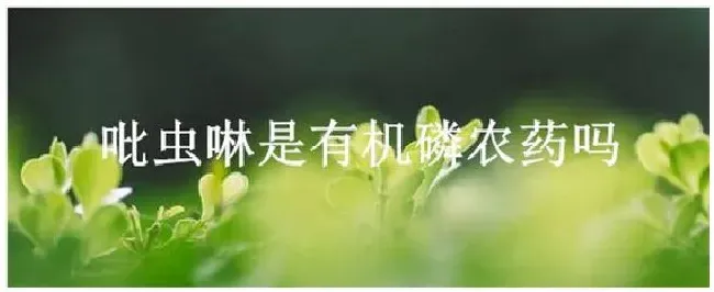 吡虫啉是有机磷农药吗 | 科普知识