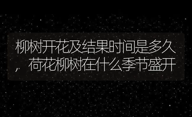 柳树开花及结果时间是多久,荷花柳树在什么季节盛开 | 养殖常见问题