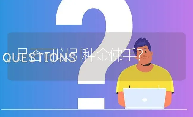 是否可以引种金佛手? | 养殖问题解答