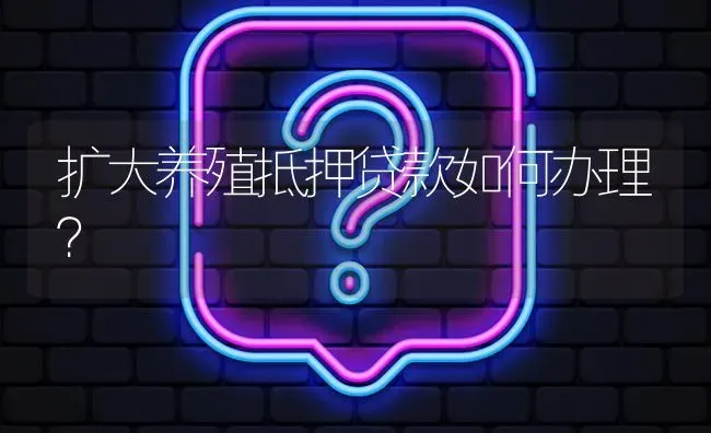 扩大养殖抵押贷款如何办理? | 养殖问题解答