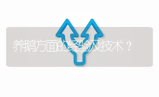 养鹅方面的经验及技术? | 养殖问题解答