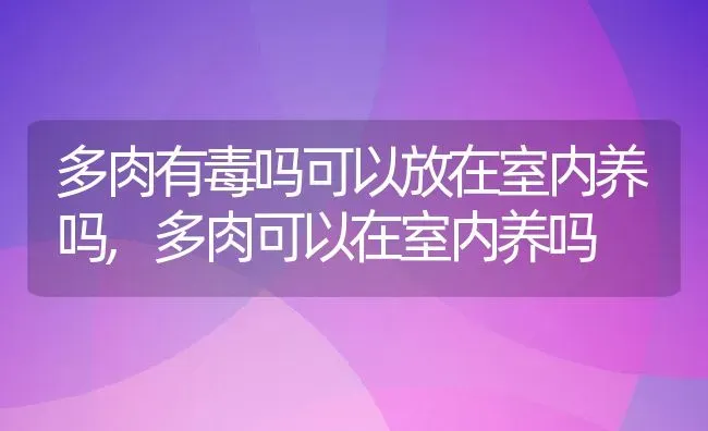 多肉有毒吗可以放在室内养吗,多肉可以在室内养吗 | 养殖常见问题