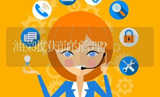 油菜收获前的管理? | 养殖问题解答