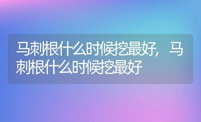 马刺根什么时候挖最好,马刺根什么时候挖最好 | 养殖常见问题