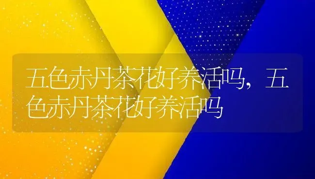 五色赤丹茶花好养活吗,五色赤丹茶花好养活吗 | 养殖常见问题