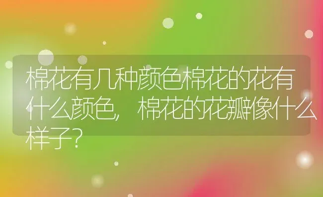 棉花有几种颜色棉花的花有什么颜色,棉花的花瓣像什么样子？ | 养殖常见问题