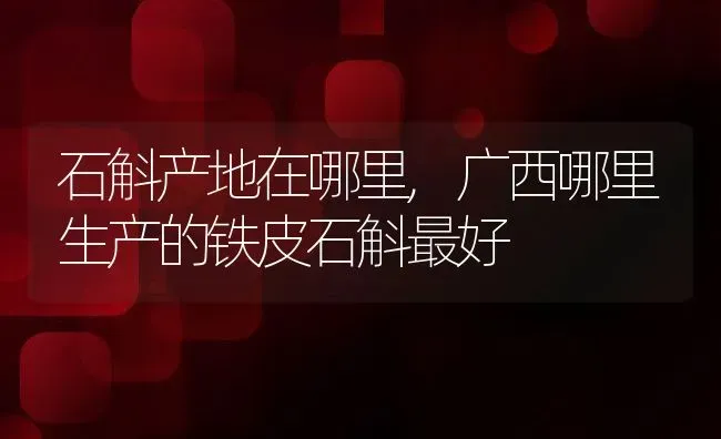 石斛产地在哪里,广西哪里生产的铁皮石斛最好 | 养殖常见问题