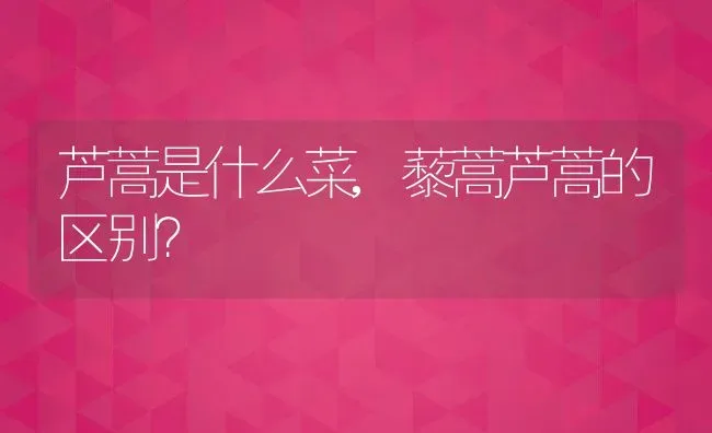 芦蒿是什么菜,藜蒿芦蒿的区别？ | 养殖常见问题