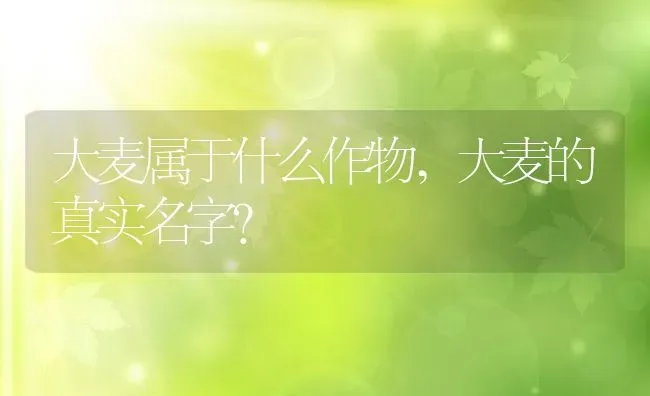 大麦属于什么作物,大麦的真实名字？ | 养殖常见问题