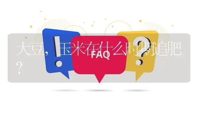 大豆,玉米在什么时期追肥? | 养殖问题解答