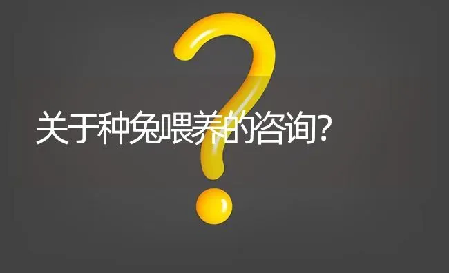 关于种兔喂养的咨询? | 养殖问题解答