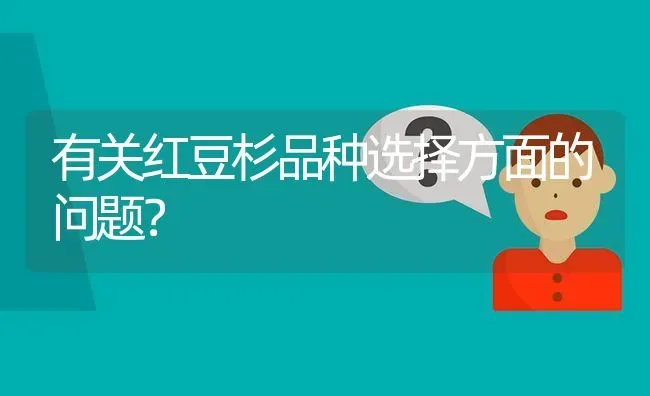 有关红豆杉品种选择方面的问题? | 养殖问题解答