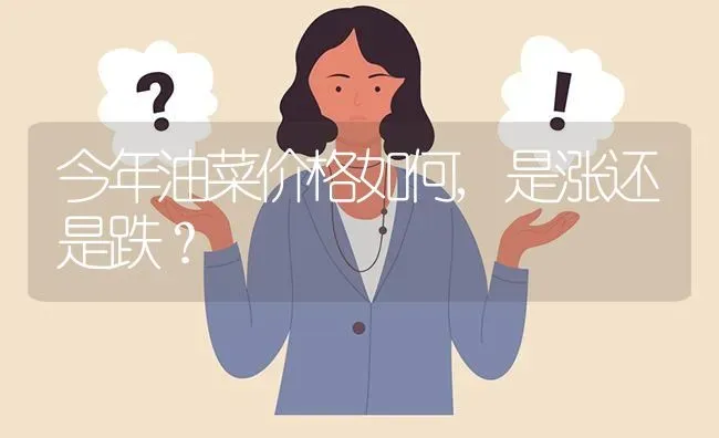 今年油菜价格如何,是涨还是跌? | 养殖问题解答