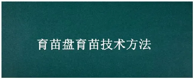 育苗盘育苗技术方法 | 三农答疑