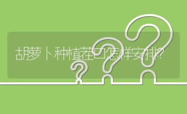 胡萝卜种植茬口怎样安排? | 养殖问题解答