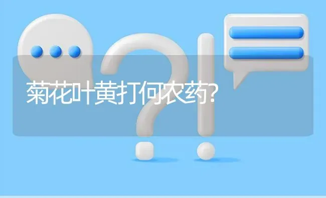 菊花叶黄打何农药? | 养殖问题解答