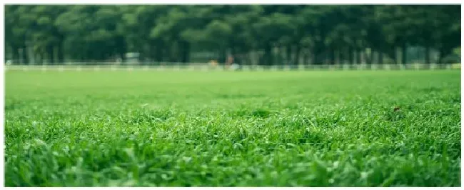 葎草用什么除草剂防除 | 农业问题