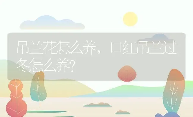 吊兰花怎么养,口红吊兰过冬怎么养？ | 养殖常见问题